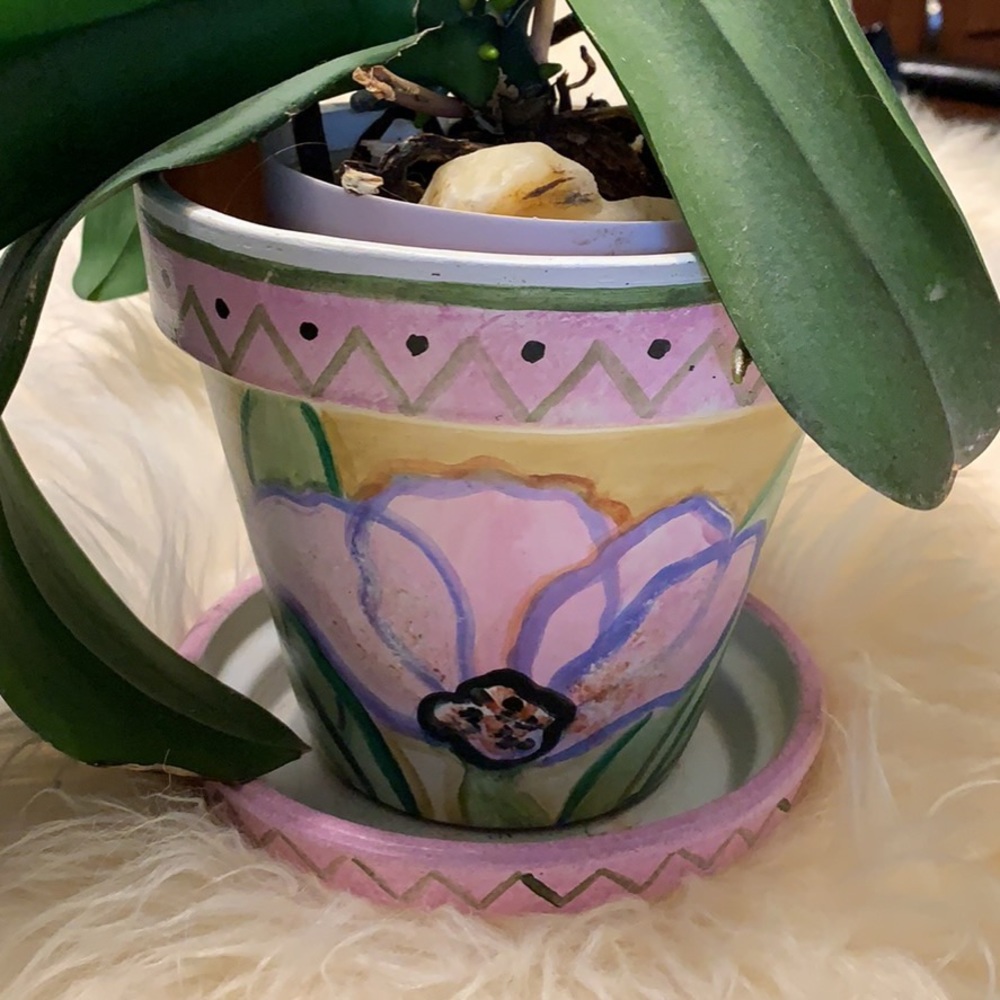 SALE!! Painted flower pot.  2